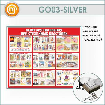Стенд «Действия населения при стихийных бедствиях» (GO-03-SILVER)