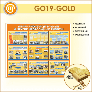 ����� ���������-������������ � ������ ���������� ������� (GO-19-GOLD)